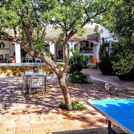 Alojamiento Rural El Cortijuelo Hotel Illora Esterno foto