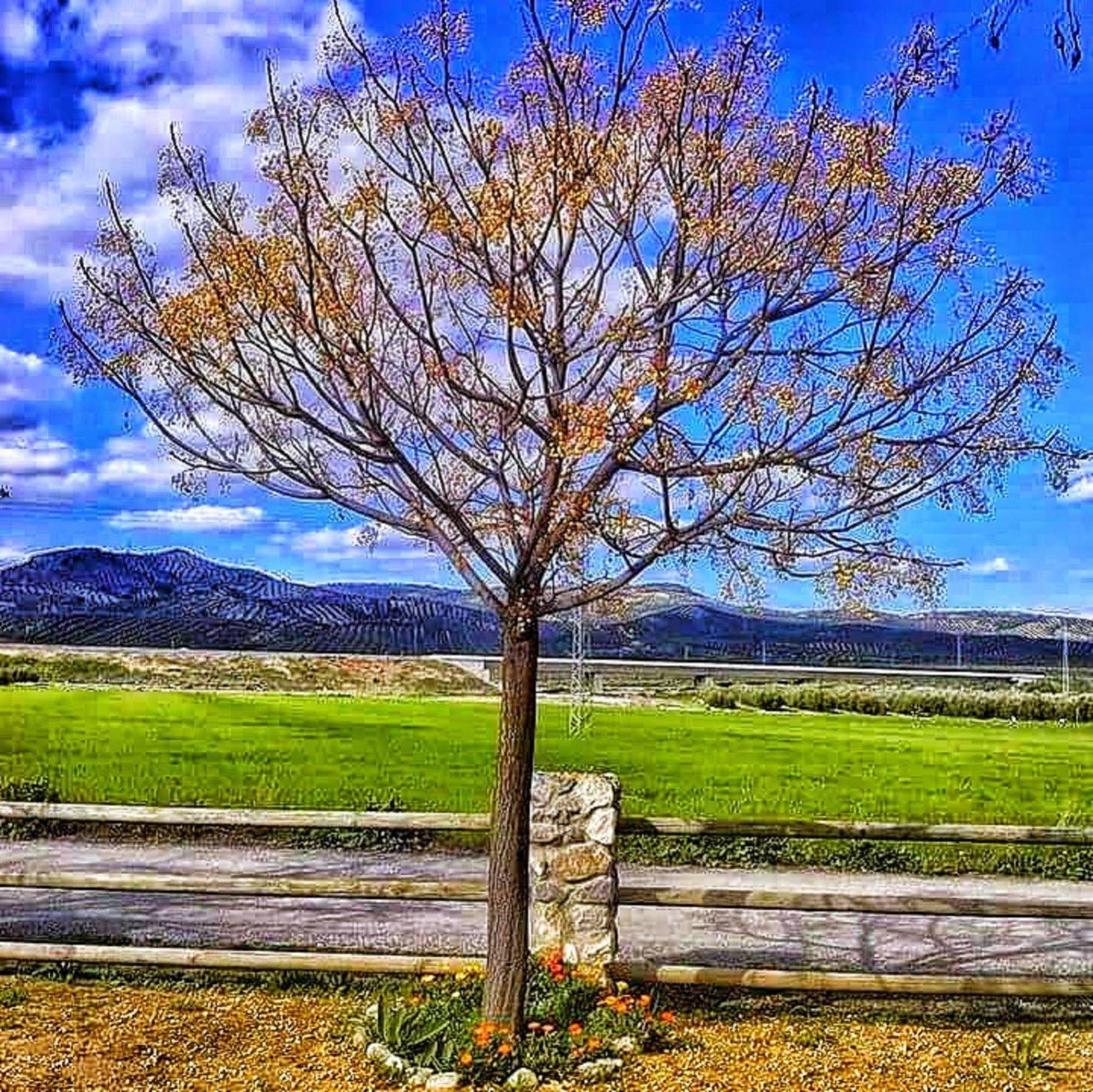 Alojamiento Rural El Cortijuelo Hotel Illora Esterno foto